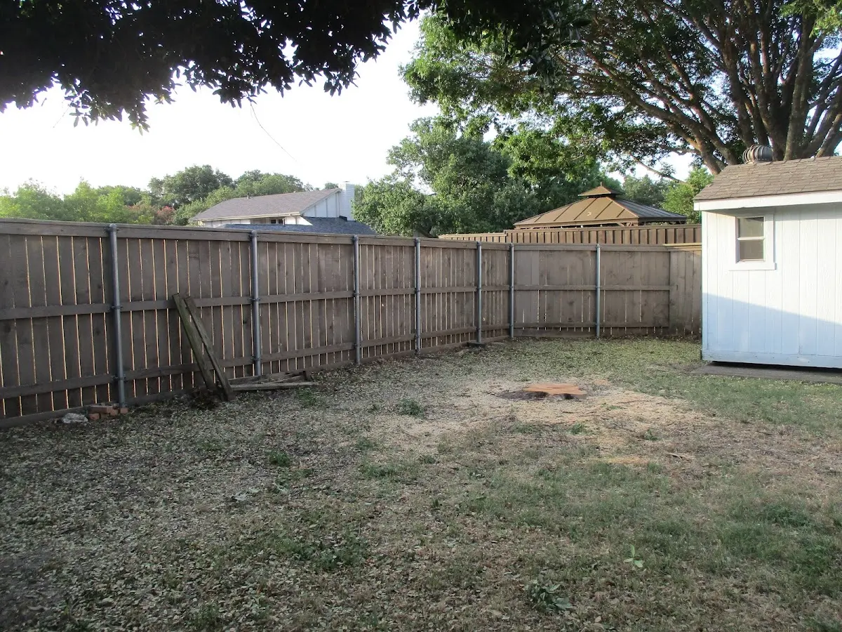 Cleared yard after professional tree removal in West Oneonta